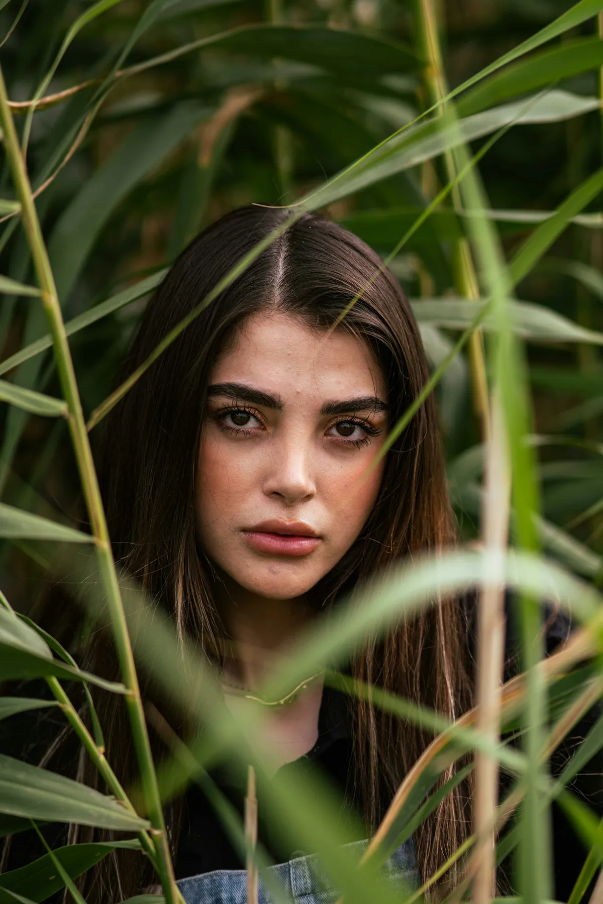 Leila photographed in the reeds at Jamaica Bay