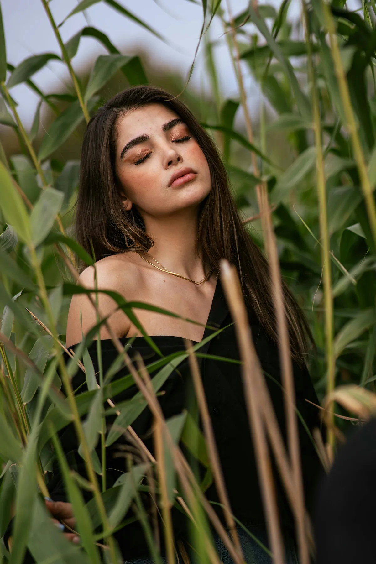 Leila photographed in the reeds at Jamaica Bay