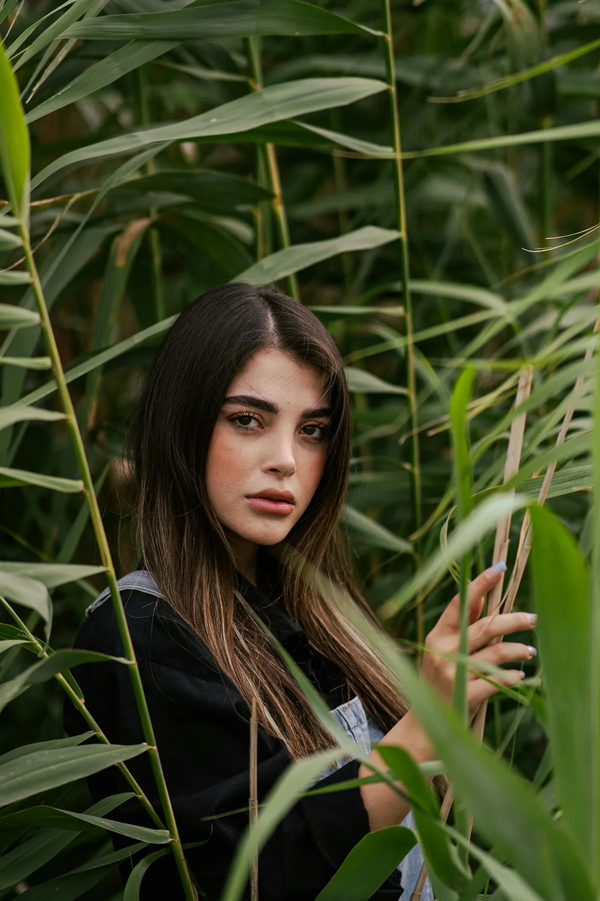 Leila photographed in the reeds at Jamaica Bay