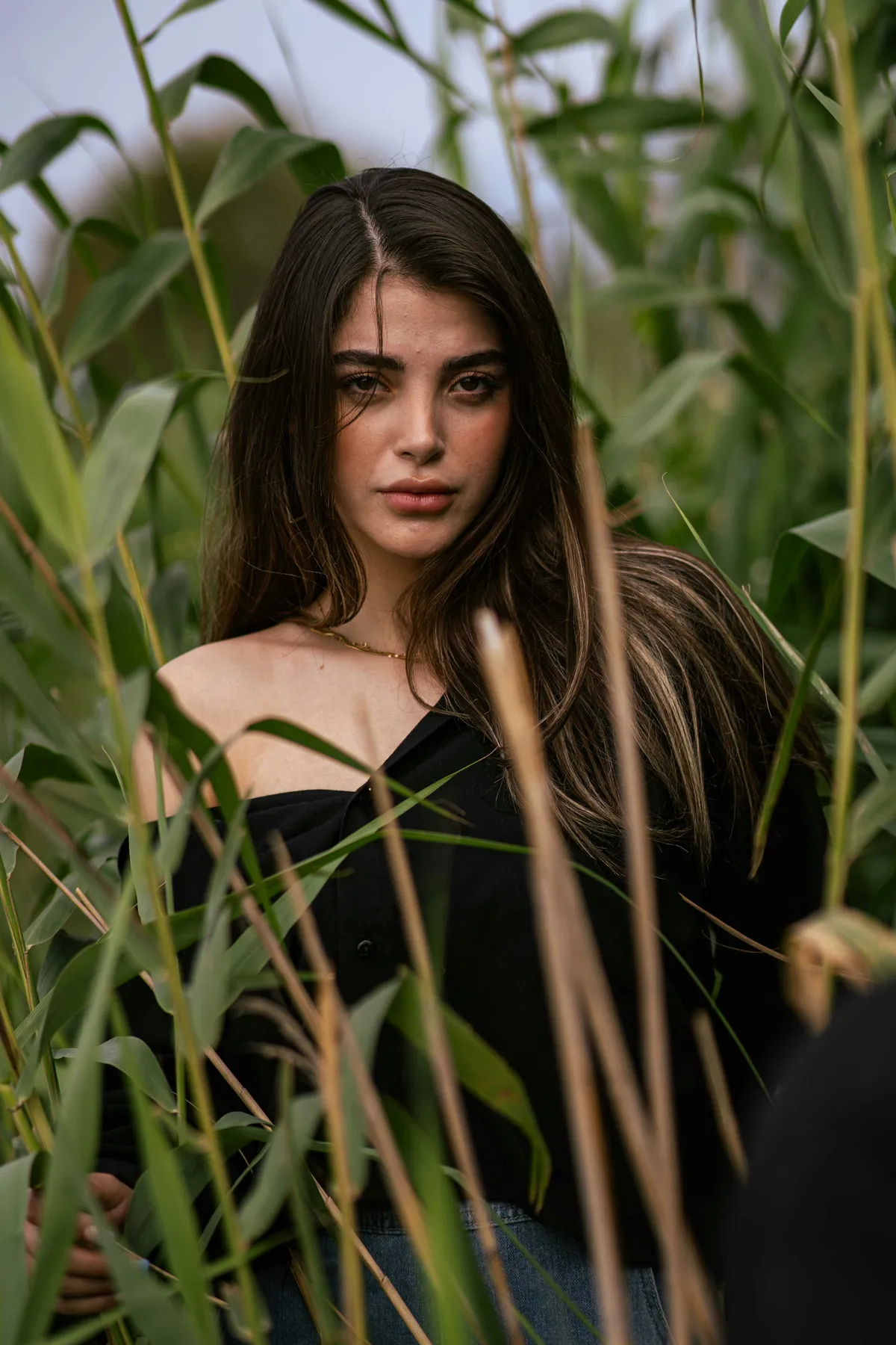 Leila photographed in the reeds at Jamaica Bay