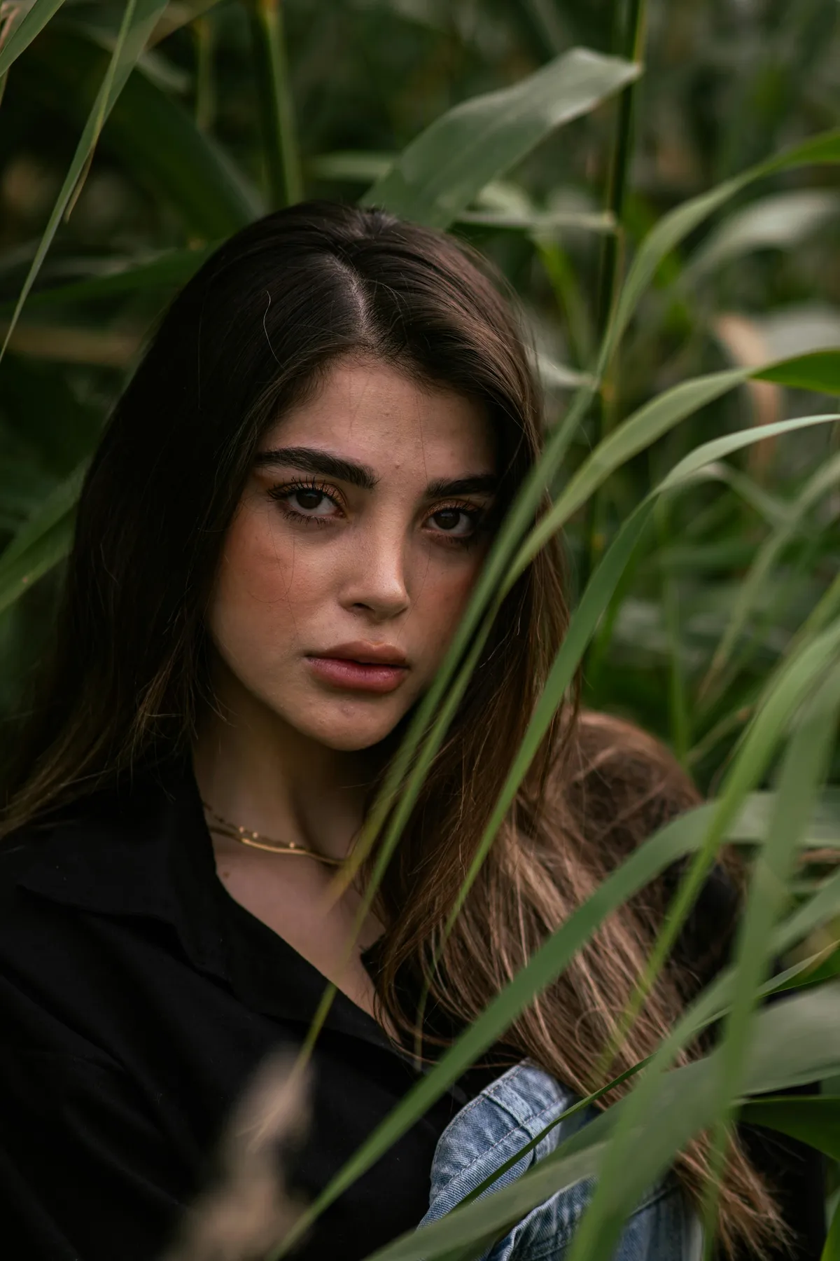 Leila photographed in the reeds at Jamaica Bay