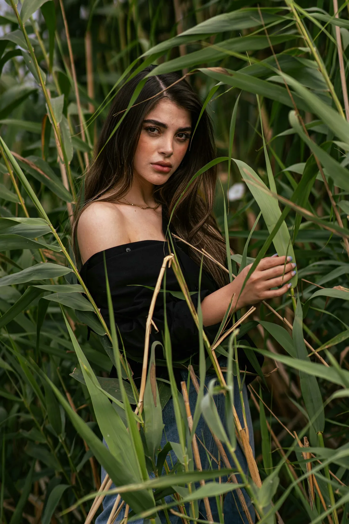 Leila photographed in the reeds at Jamaica Bay